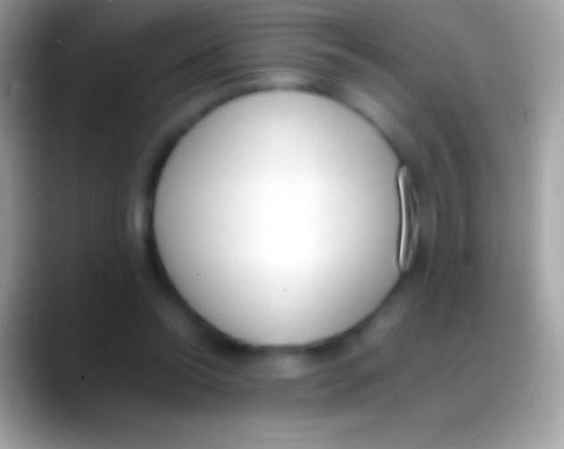 X0000088150350200706041359