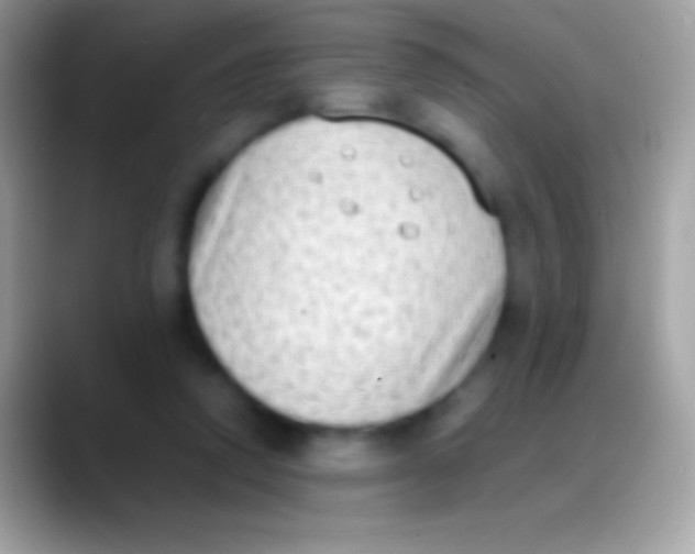 X0000088150354200706041359