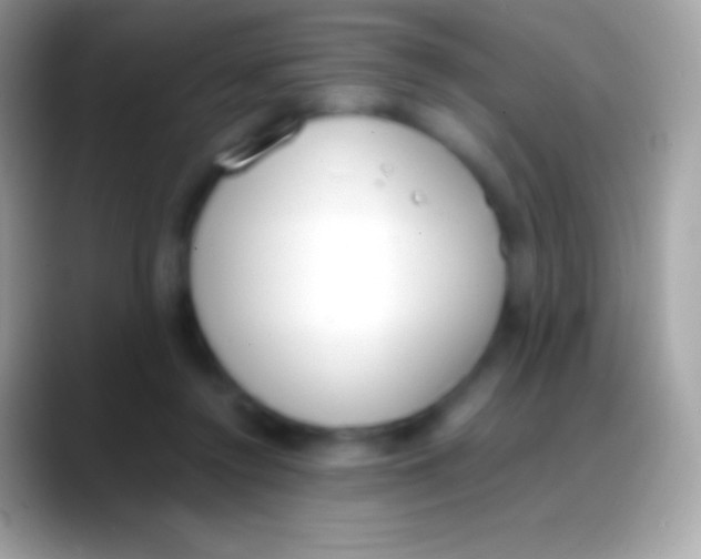 X0000088150356200706041359