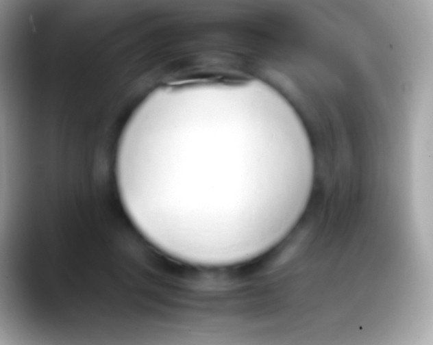 X0000088150357200706041359