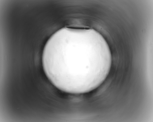 X0000088150359200706041359