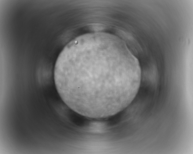 X0000088150360200706041359