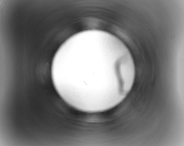 X0000088150361200706041359