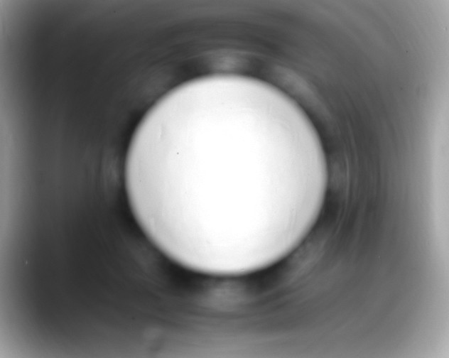 X0000088150363200706041359