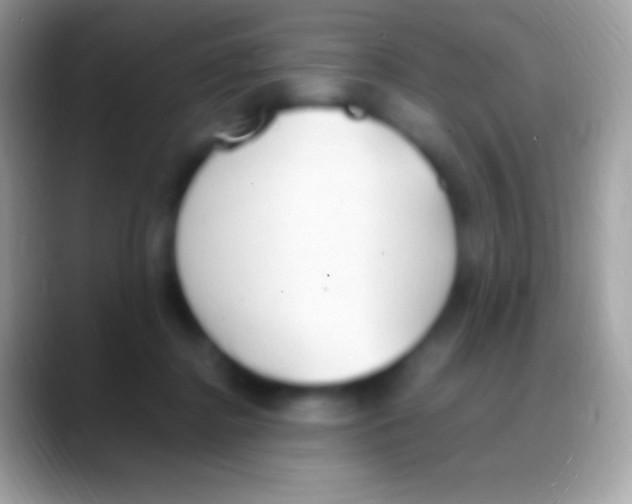 X0000088150364200706041359