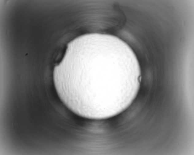 X0000088150366200706041359