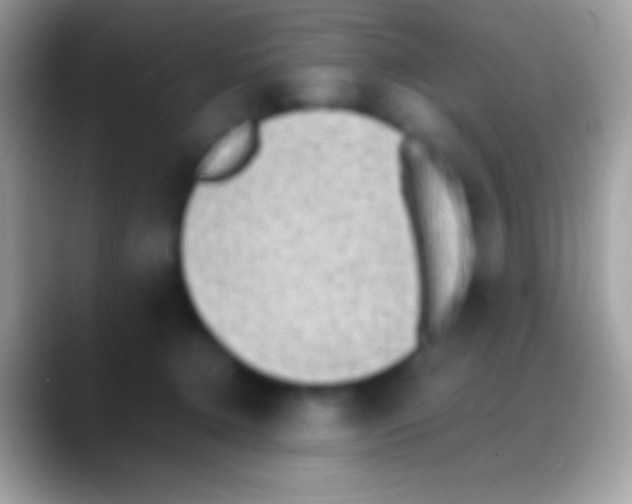 X0000088150368200706041359