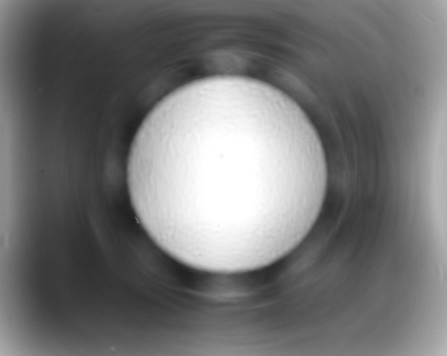 X0000088150371200706041359