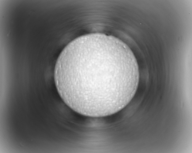 X0000088150372200706041359