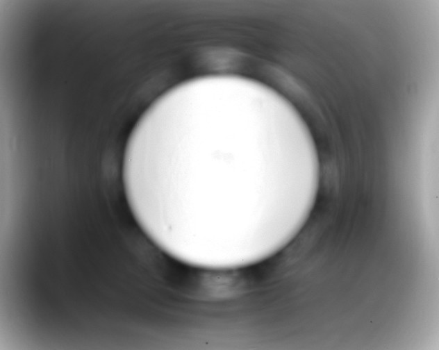 X0000088150373200706041359