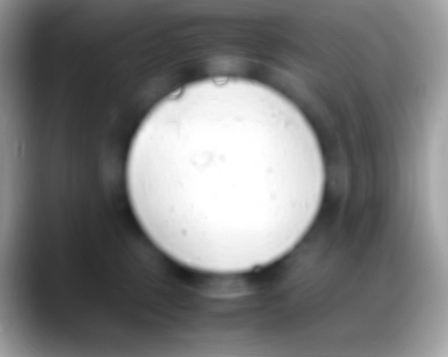 X0000088150375200706041359