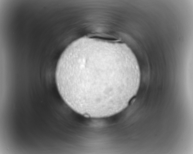 X0000088150376200706041359