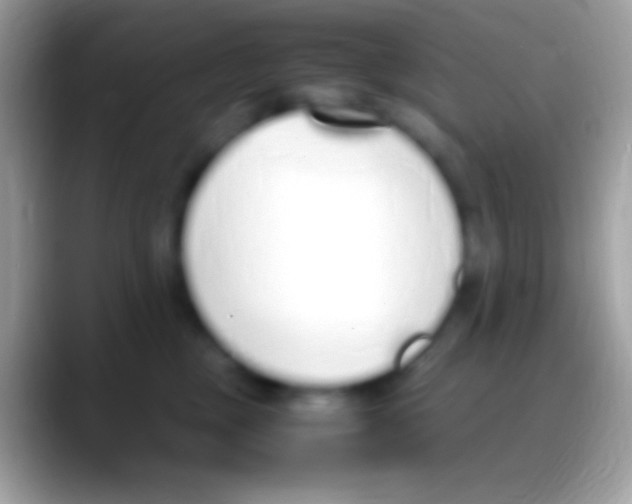 X0000088150377200706041359