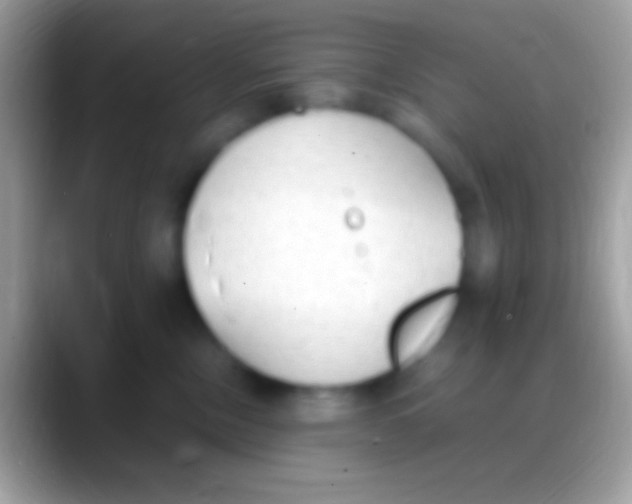 X0000088150378200706041359