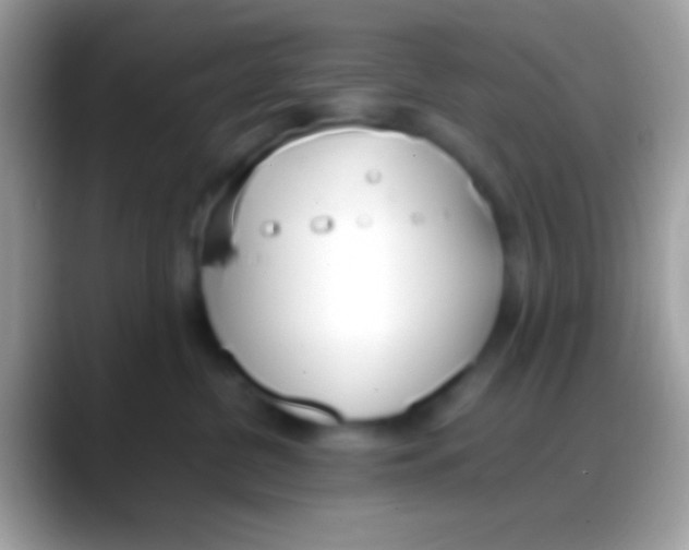 X0000088150380200706041359