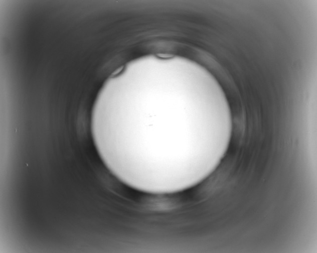 X0000088150381200706041359