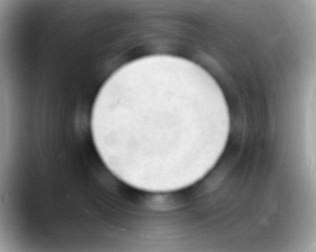 X0000088150382200706041359