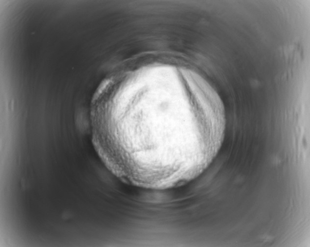 X0000088150383200706041359