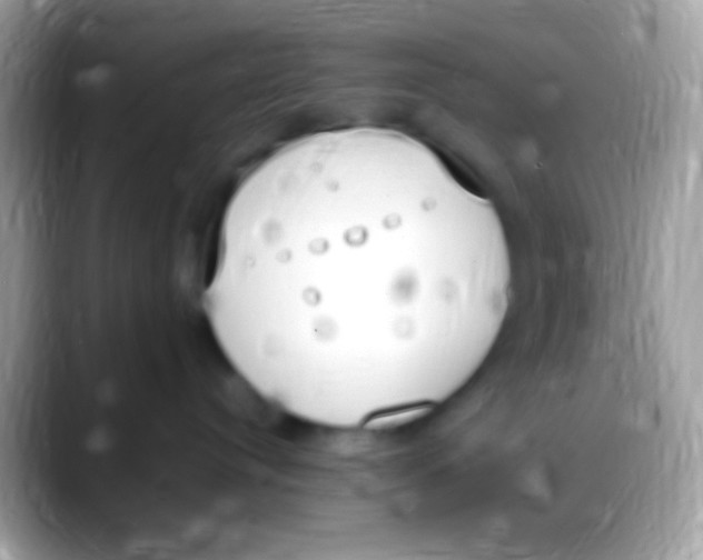 X0000088150384200706041359