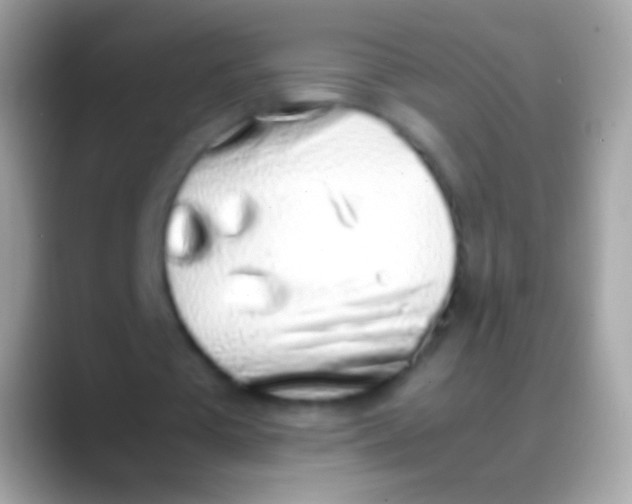 X0000088150385200706041359