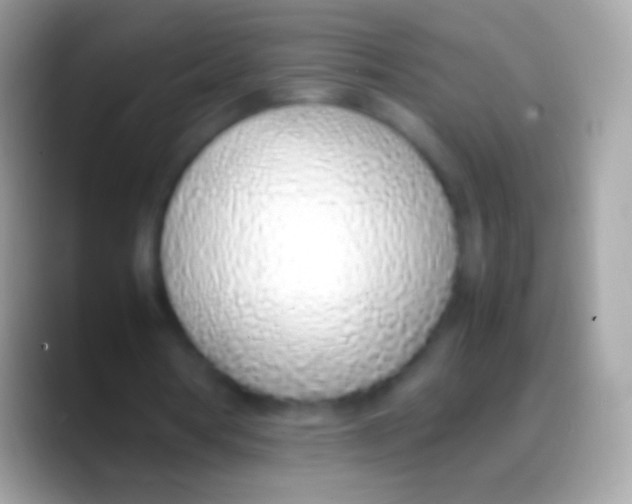 X0000088150386200706041359