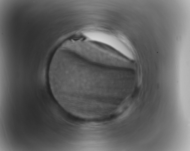 X0000088150387200706041358