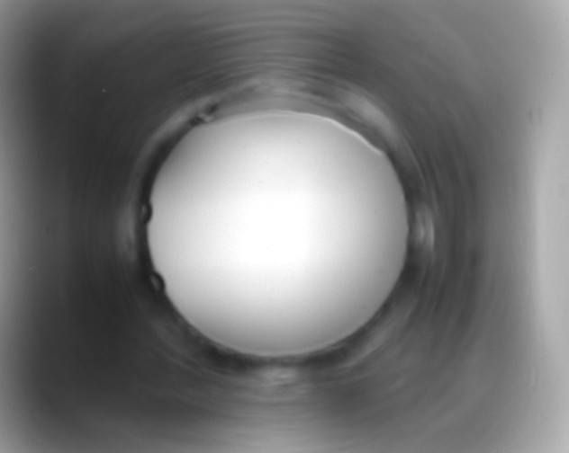 X0000088150388200706041358