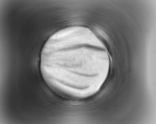 X0000088150389200706041358