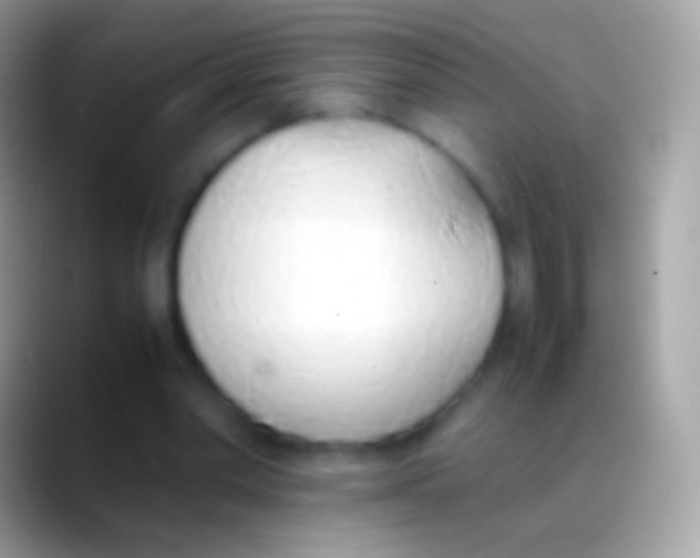 X0000088150390200706041358