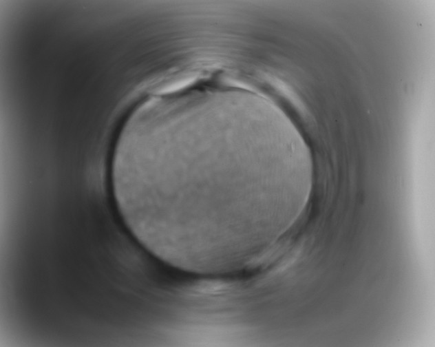 X0000088150391200706041358