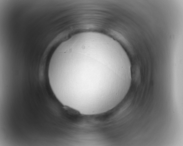 X0000088150392200706041358