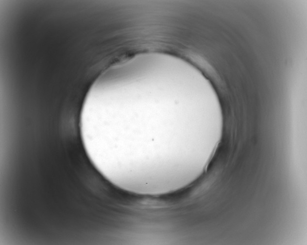 X0000088150393200706041358