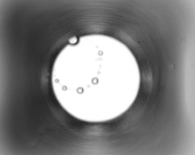 X0000088150396200706041358