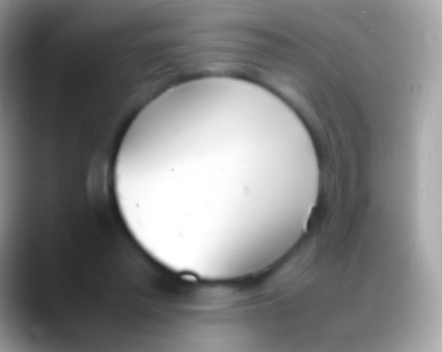 X0000088150397200706041358