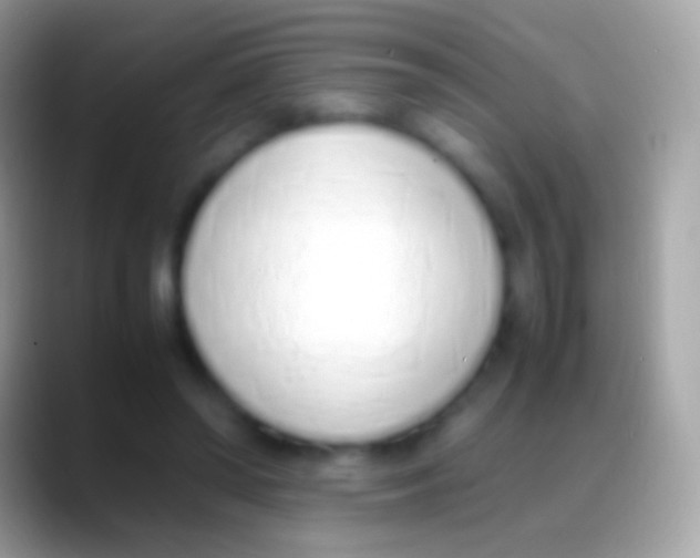 X0000088150398200706041358