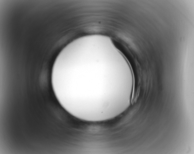 X0000088150400200706041358