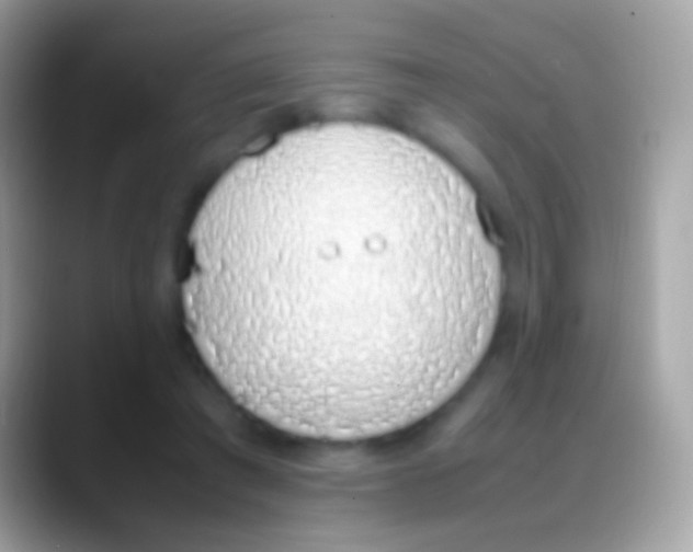 X0000088150401200706041358