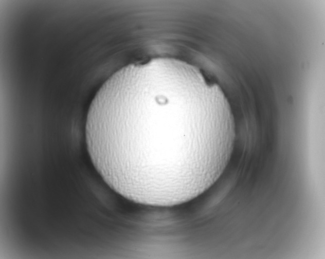 X0000088150402200706041358