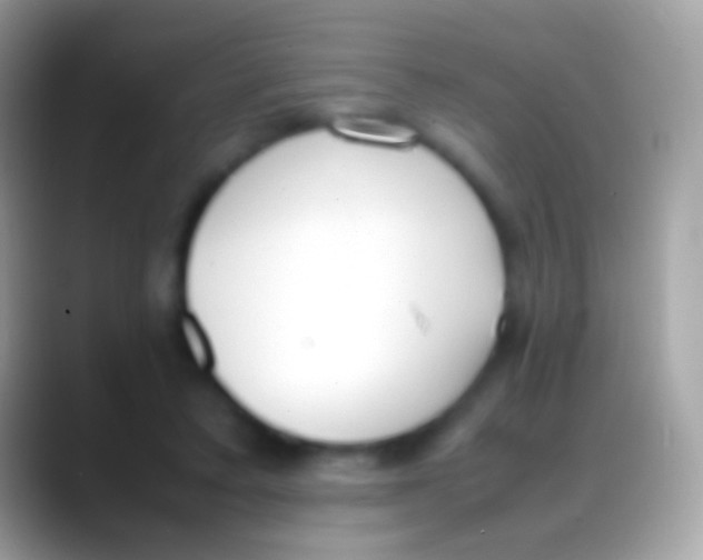 X0000088150403200706041358