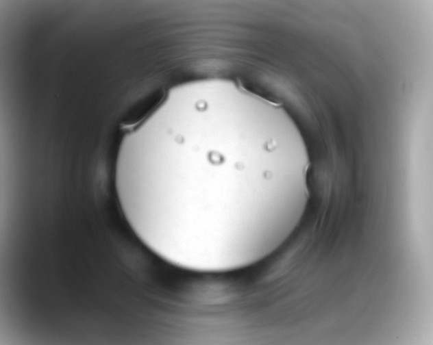 X0000088150404200706041358