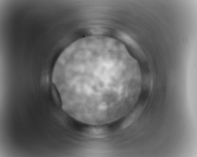 X0000088150405200706041358