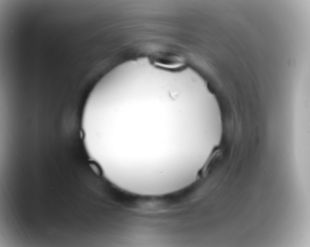 X0000088150407200706041358