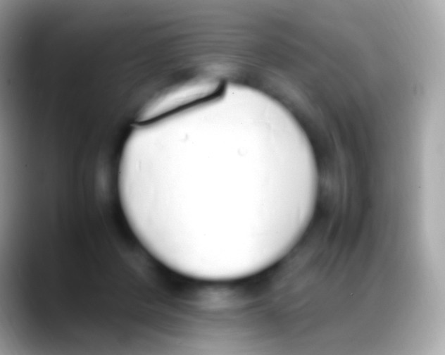 X0000088150408200706041358