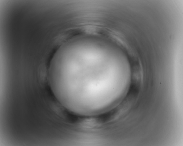 X0000088150411200706041358