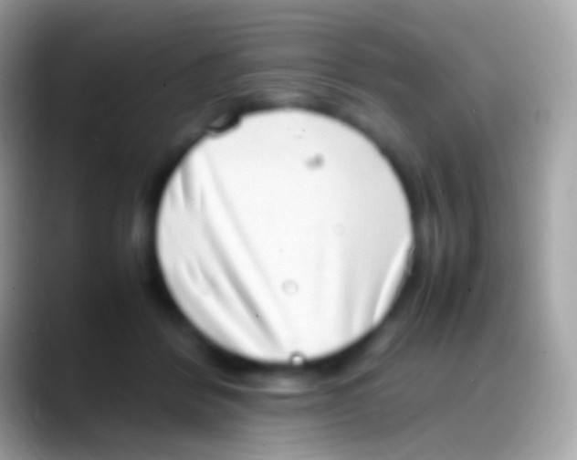 X0000088150412200706041358