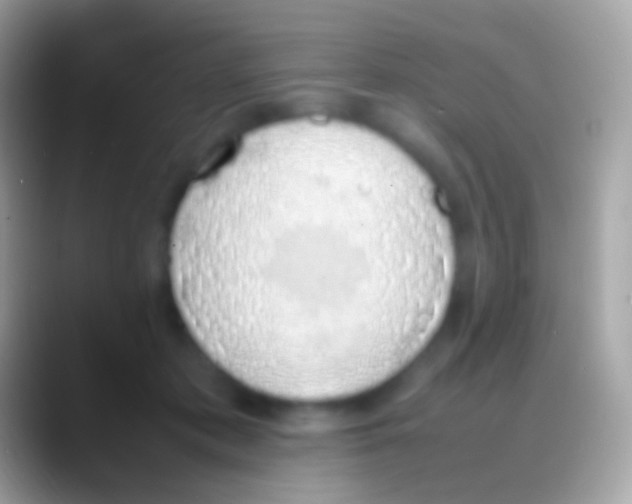 X0000088150413200706041358