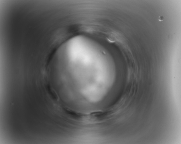 X0000088150415200706041358