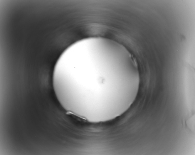 X0000088150416200706041358