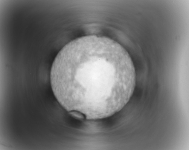 X0000088150417200706041358