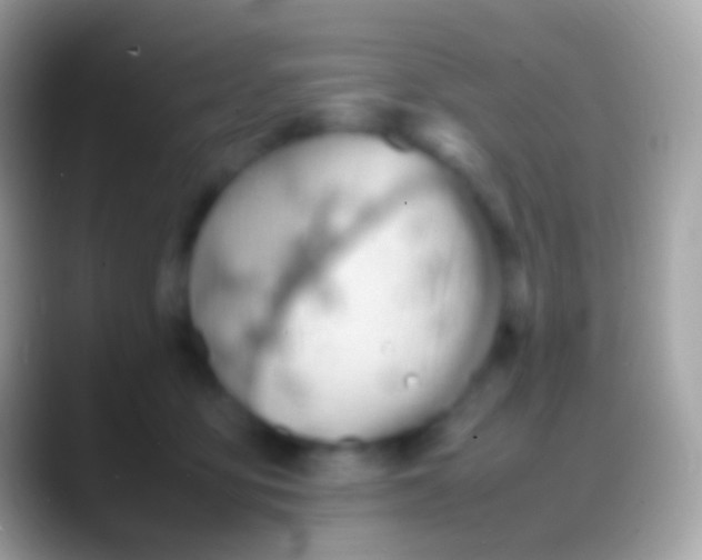 X0000088150419200706041358